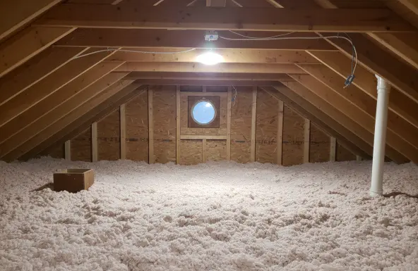 Blown-In Insulation Contractor