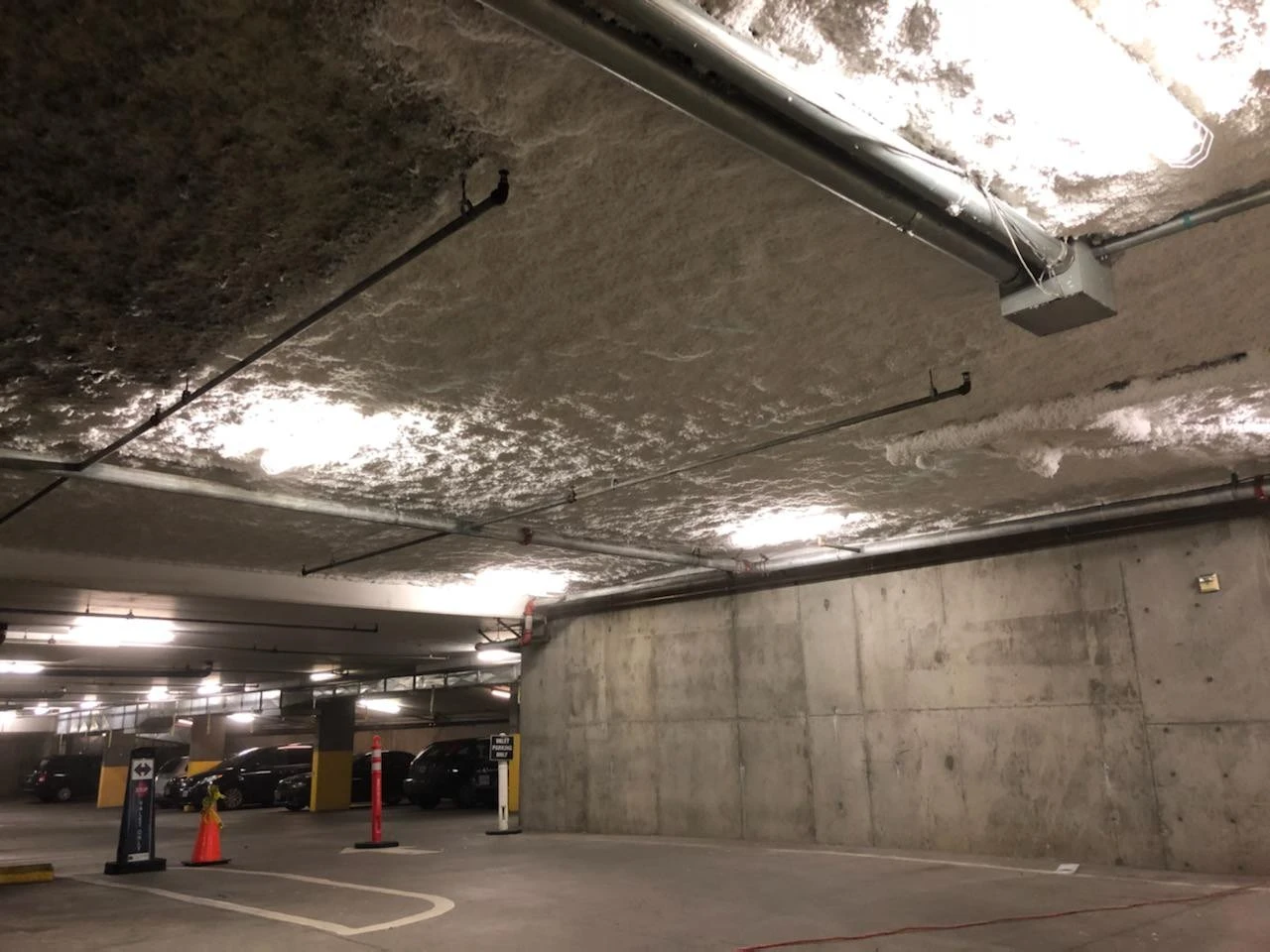 Crawl Space Encapsulation 