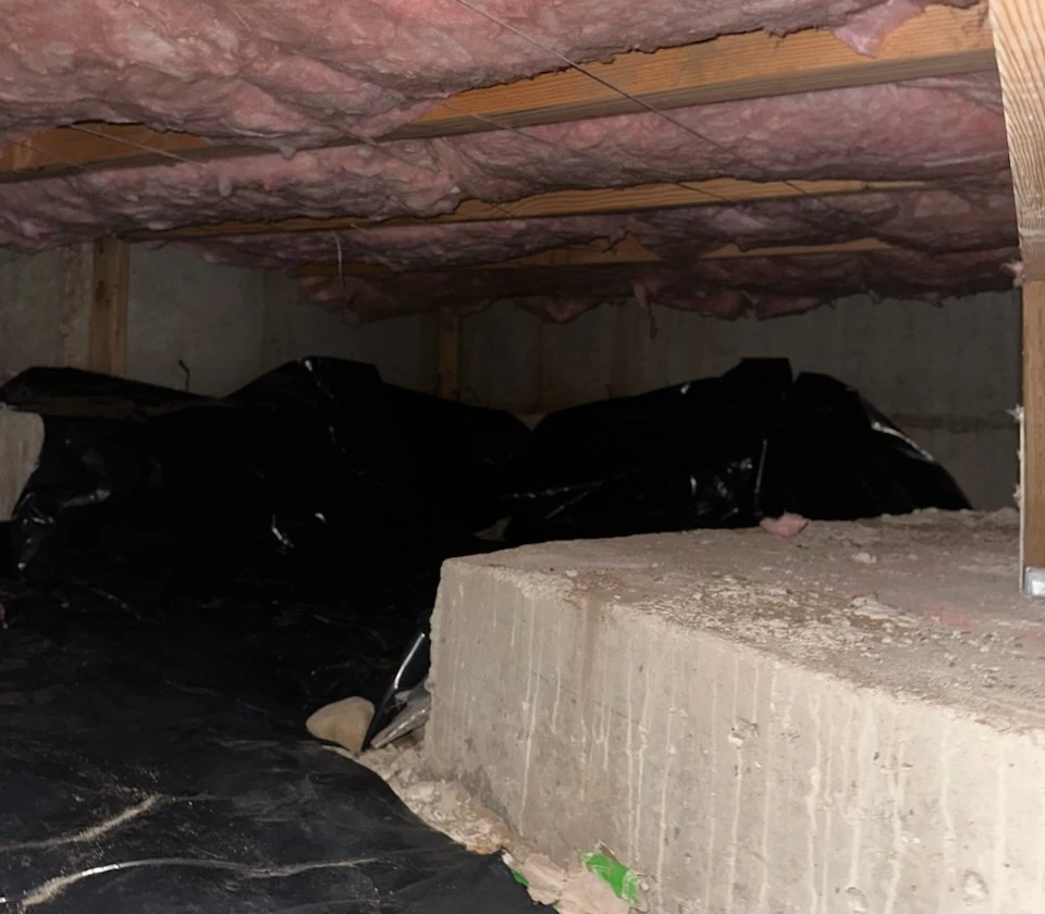 Floor Insulation Services Spray On Foam and Coatings