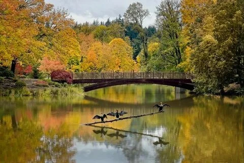 Longview, WA