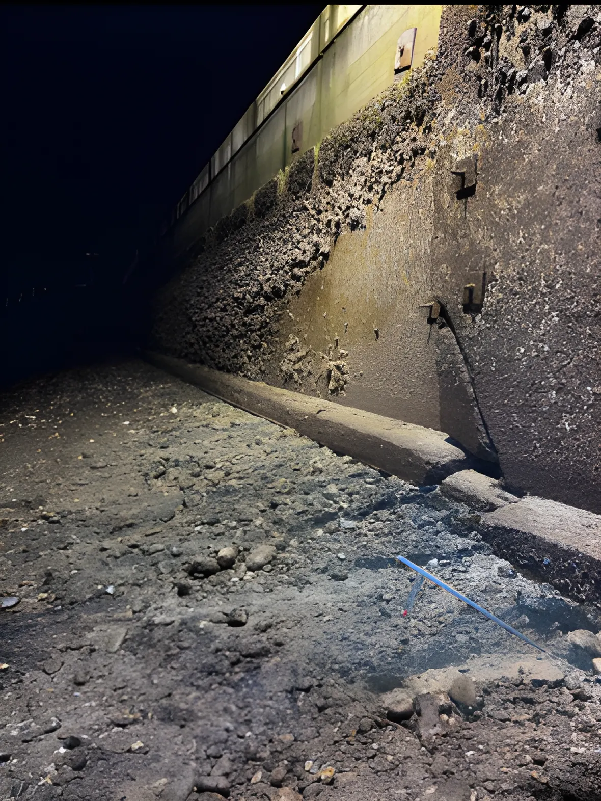 Seawall Repair Services webp